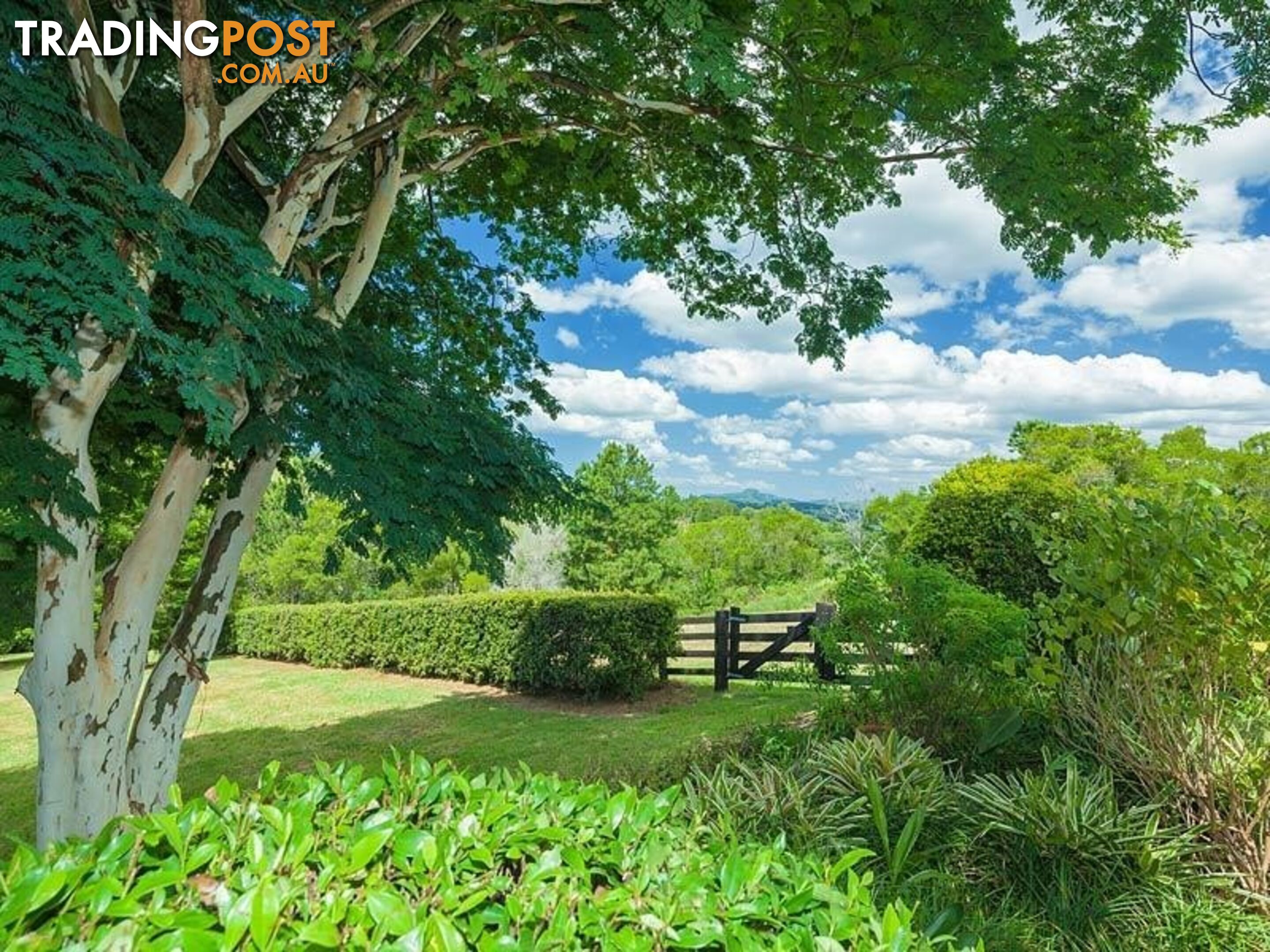 194 Nandroya Road EUMUNDI QLD 4562