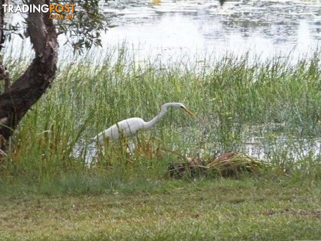 41 Grange Road LAKE MACDONALD QLD 4563