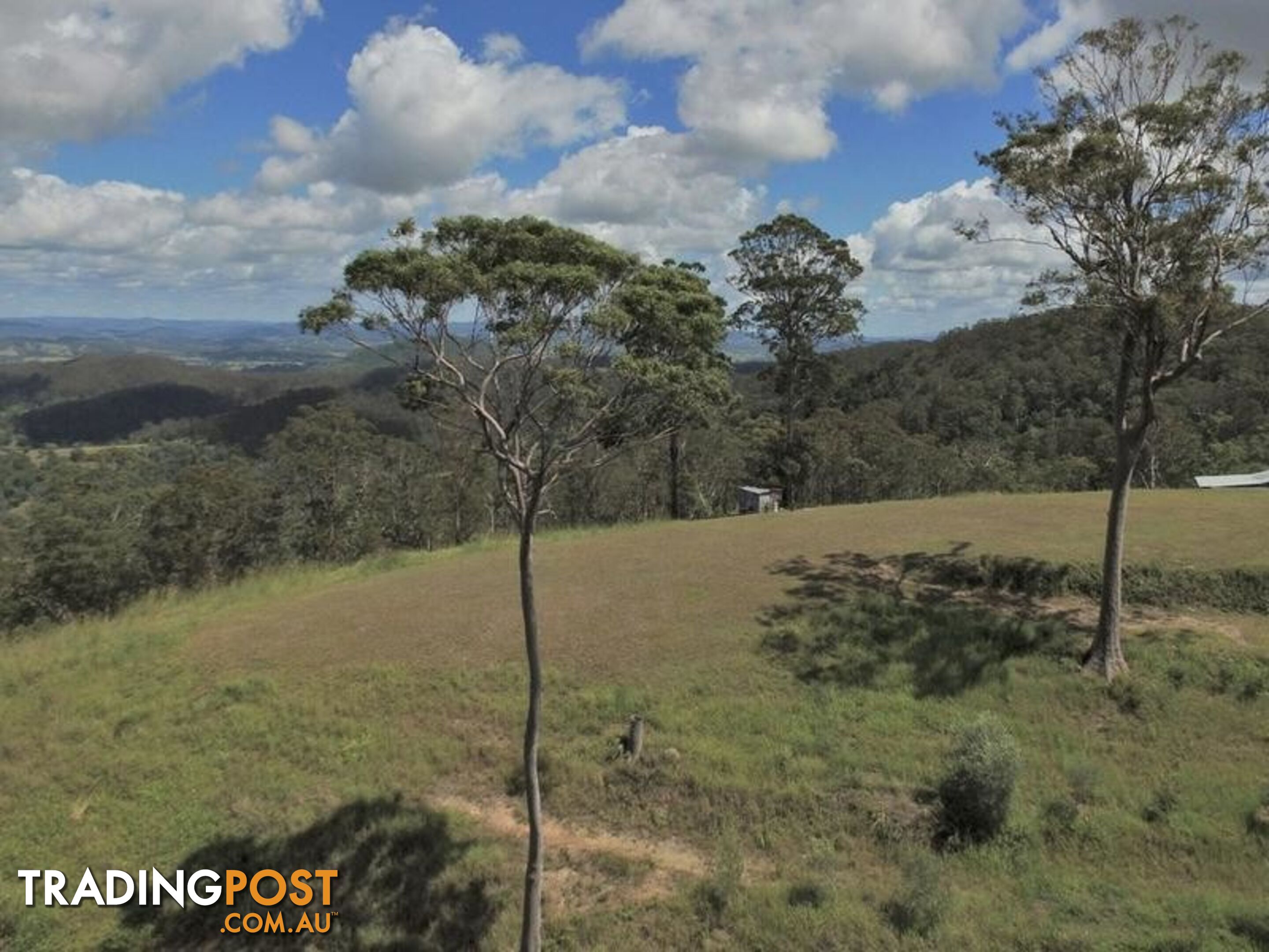 1033 Black Mountain Road Federal QLD 4568