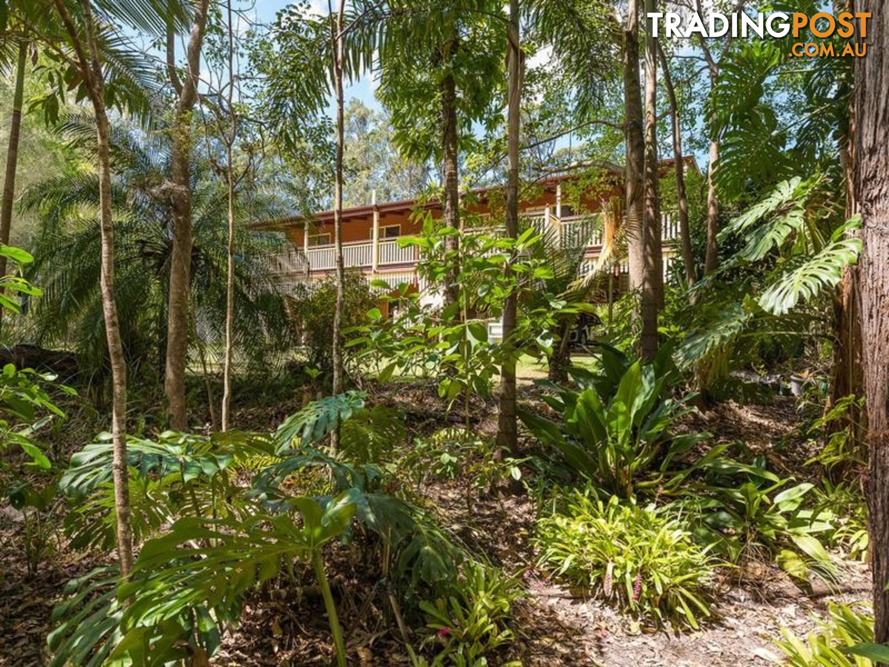 237 Forest LAKE MACDONALD QLD 4563