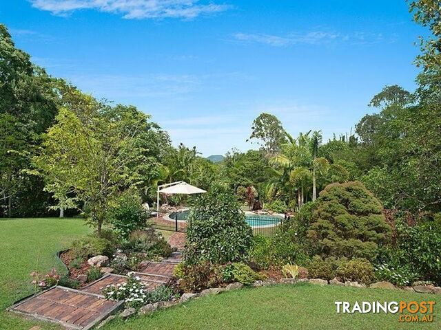 81 Whispering Gum Avenue EUMUNDI QLD 4562