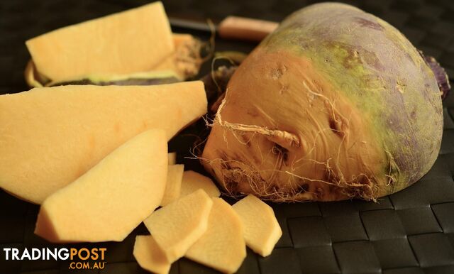 600 Seeds Swede Turnip Old Original Heirloom Type Love These
