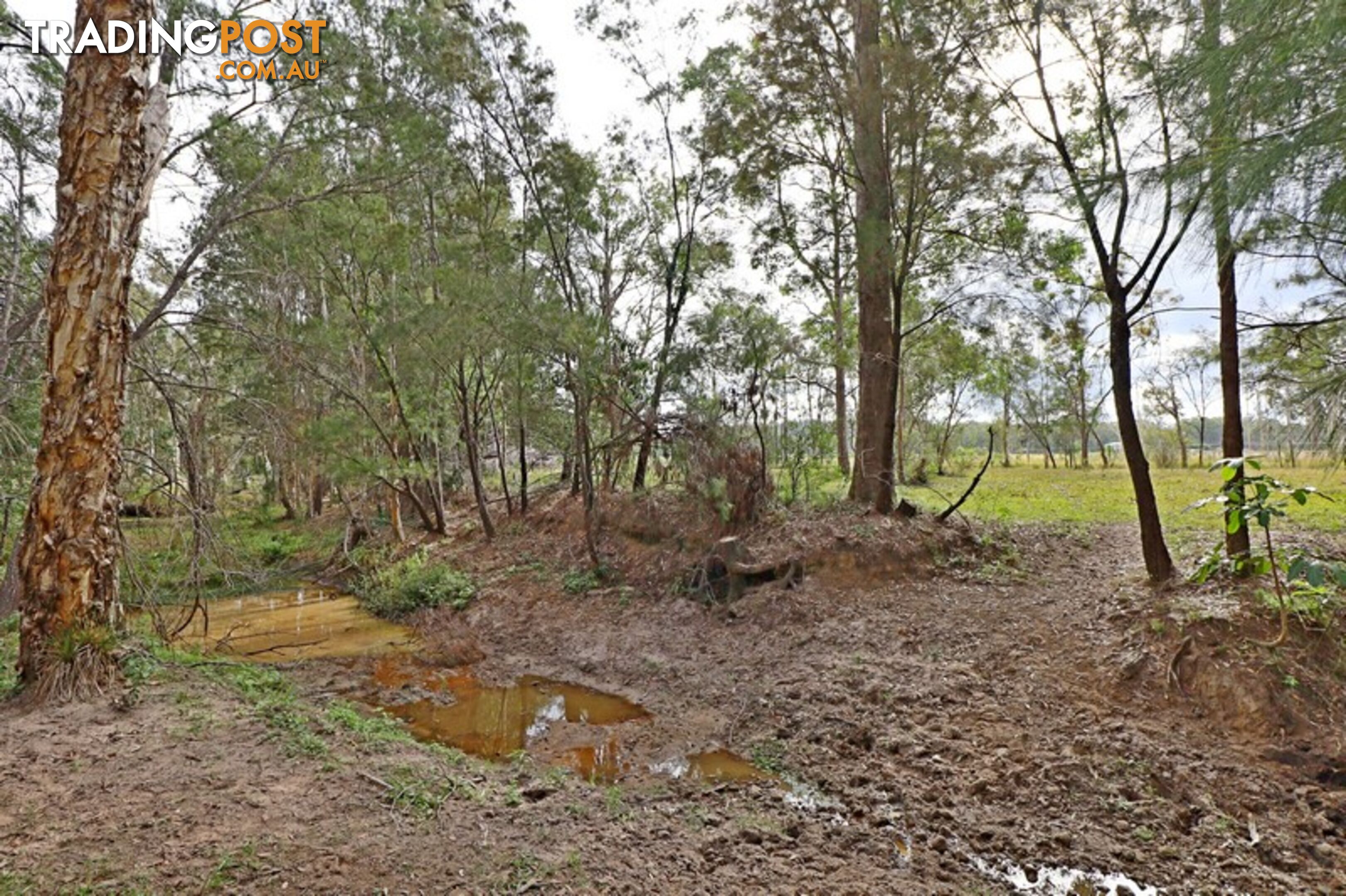 20 McConachy Rd ELIMBAH QLD 4516