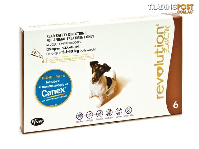 Revolution for Dogs (Brown) - 6 Pack + Canex Wormer - 1882076