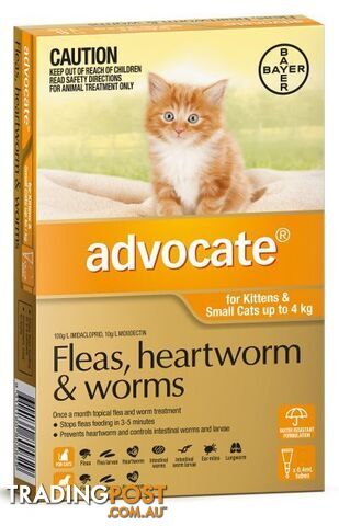 Advocate for Cats under 4kg (Orange) - 6 Pack - 1891221