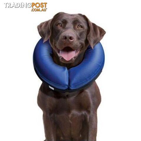 Buster Inflatable Collar XS - COLLIBN00
