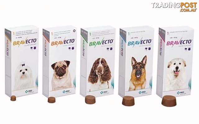 Bravecto Chew for Dogs - 3 Month Protection - 2 to 4.5kg (Yellow) - 2184106