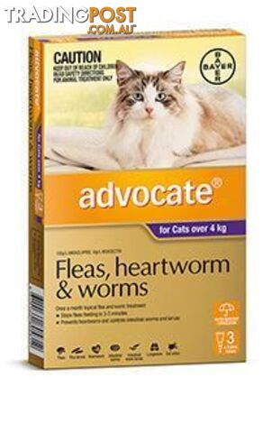 Advocate for Cats 4kg+ (Purple) - 3 Pack - 1891239