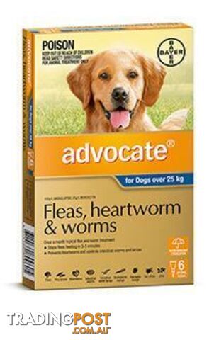 Advocate for Dogs 25kg+ (Blue) - 6 Pack - 1891319