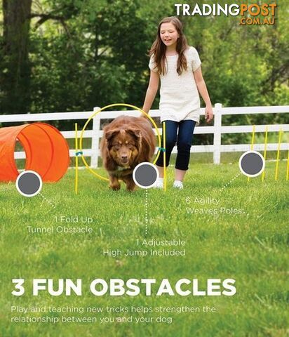Outward Hound Outdoor Zip & Zoom Agility Kit - 42003 - photo 3 of 5
