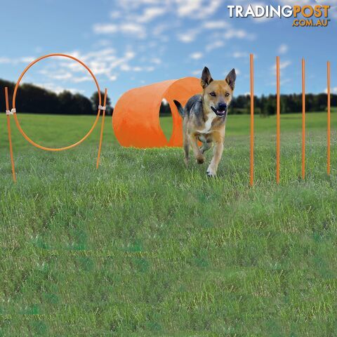 Outward Hound Outdoor Zip & Zoom Agility Kit - 42003