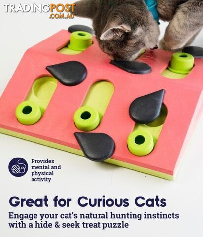 Nina Ottosson Melon Madness Cat Puzzle - Level 2 - OH-69583 - photo 3 of 5