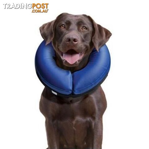 Buster Inflatable Collar XXL - COLLIBN05