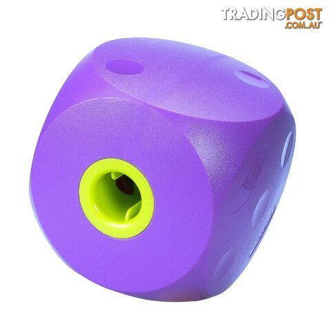 Buster Food Cube Large / Purple - BUST-E-C-C