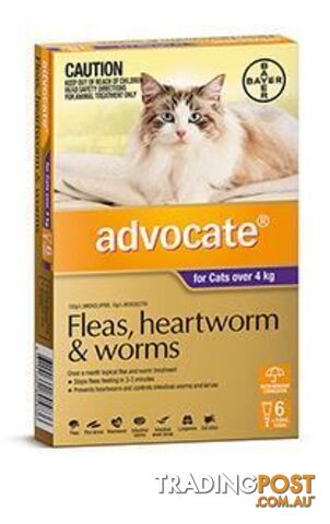 Advocate for Cats 4kg+ (Purple) - 6 Pack - 1891247