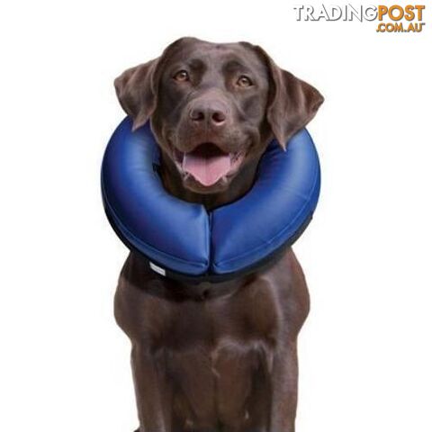 Buster Inflatable Collar Large - COLLIBN03