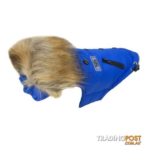 Huskimo Everest Coat - 27cm - Blue - HCEV27RB