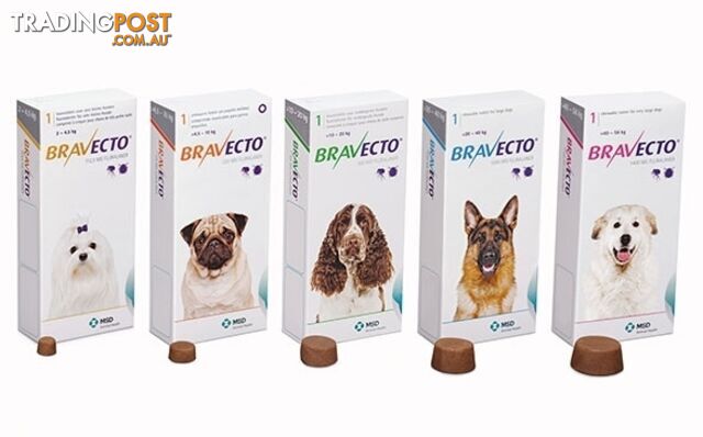 Bravecto Chew for Dogs - 3 Month Protection - 4.5 to 10kg (Orange) - 2184114