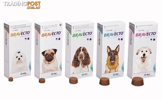 Bravecto Chew for Dogs - 3 Month Protection - 20 to 40kg (Blue) - 2184131