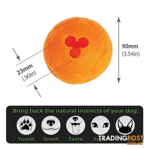 Aussie Dog Medium Buddy Ball - BB-06 - photo 5 of 6