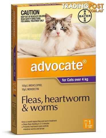 Advocate for Cats 4kg+ (Purple) - 1 Pack - 2205835