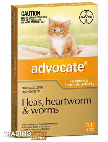 Advocate for Cats under 4kg (Orange) - 1 Pack - 2205819