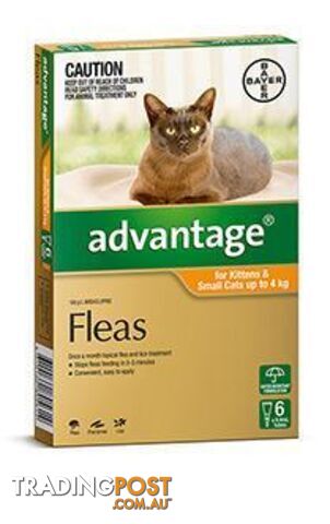 Advantage for Kittens & Cats 0-4kg (Orange) - 6 Pack - 1890156