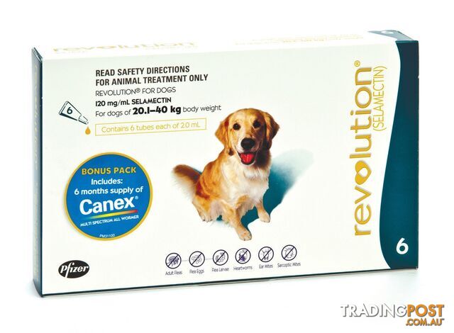 Revolution for Dogs (Teal) - 6 Pack + Canex Wormer - 1881743