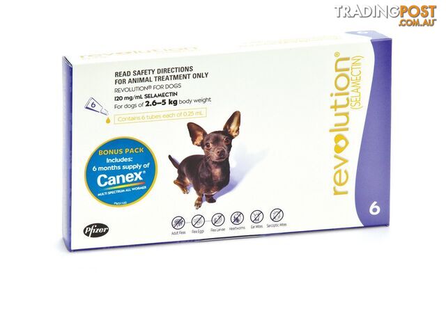 Revolution for Dogs (Purple) - 6 Pack + Canex Wormer - 1882068