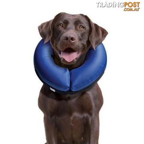 Buster Inflatable Collar XL - COLLIBN04
