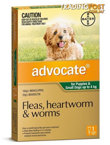 Advocate for Dogs under 4kg (Green) - 1 Pack - 2205843