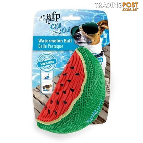 All For Paws Chill Out Watermelon Ball - AFP8232