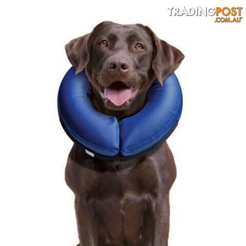Buster Inflatable Collar Small - COLLIBN01