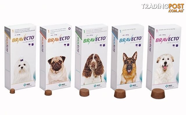 Bravecto Chew for Dogs - 3 Month Protection - 40 to 56kg (Pink) - 2184149
