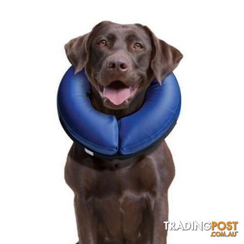 Buster Inflatable Collar Medium - COLLIBN02
