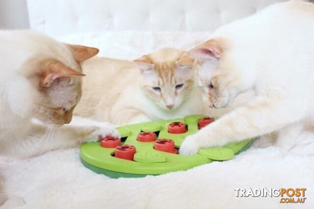 Nina Ottosson Buggin Out Cat Puzzle - Level 2 - OH-69479 - photo 2 of 4