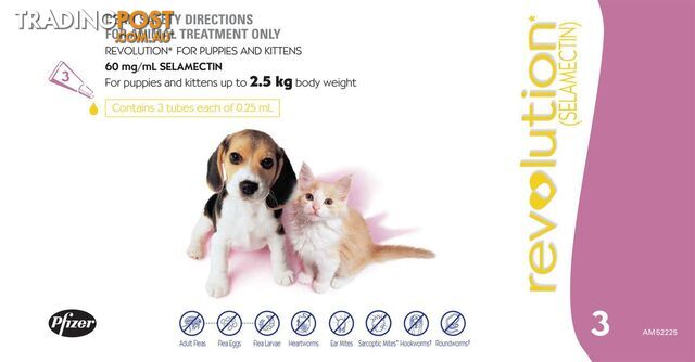 Revolution for Puppies & Kittens - 3 Pack - 1881946