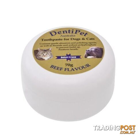 Dentipet Toothpaste for Dogs & Cats 70g - Beef - 1945812