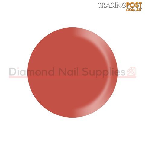 Shellac - Jelly Bracelet - CNJEL