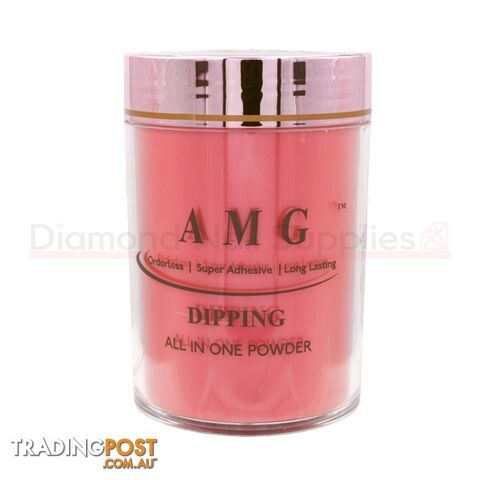 Dip/Acrylic Powder - B110 453g - AMGB110-16