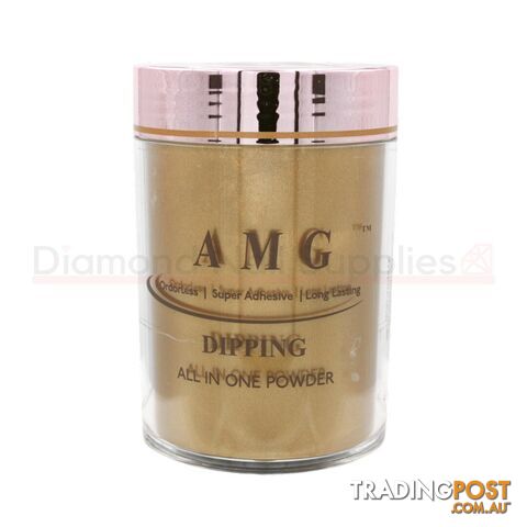 Dip/Acrylic Powder - B93 453g - AMGB93-16