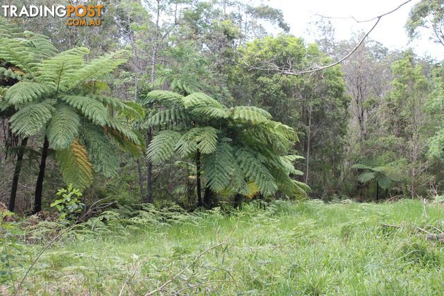 Lot 13 DP1176070/ Shortcut Road RALEIGH NSW 2454