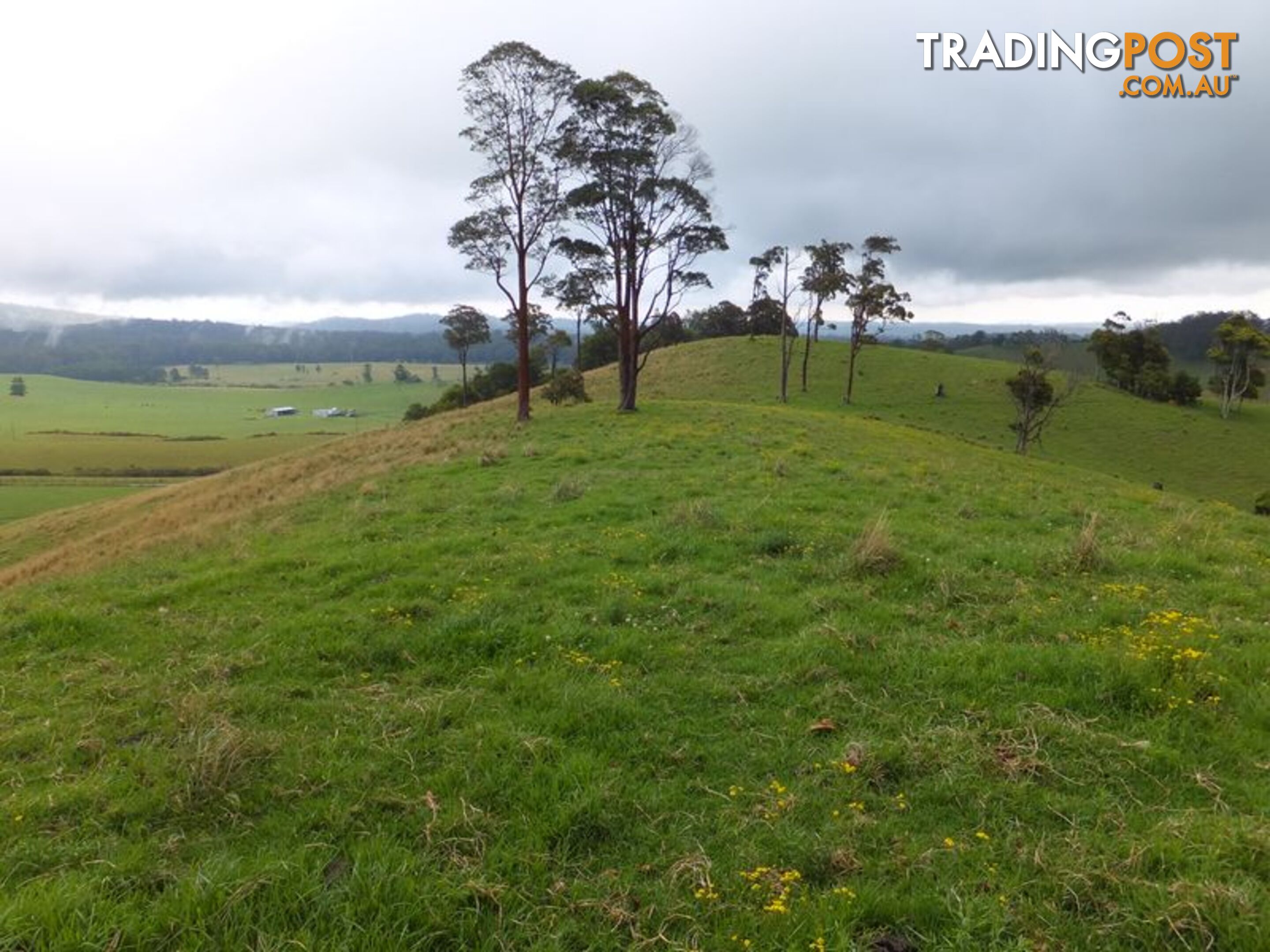 200 Camp Creek Road LOWANNA NSW 2450