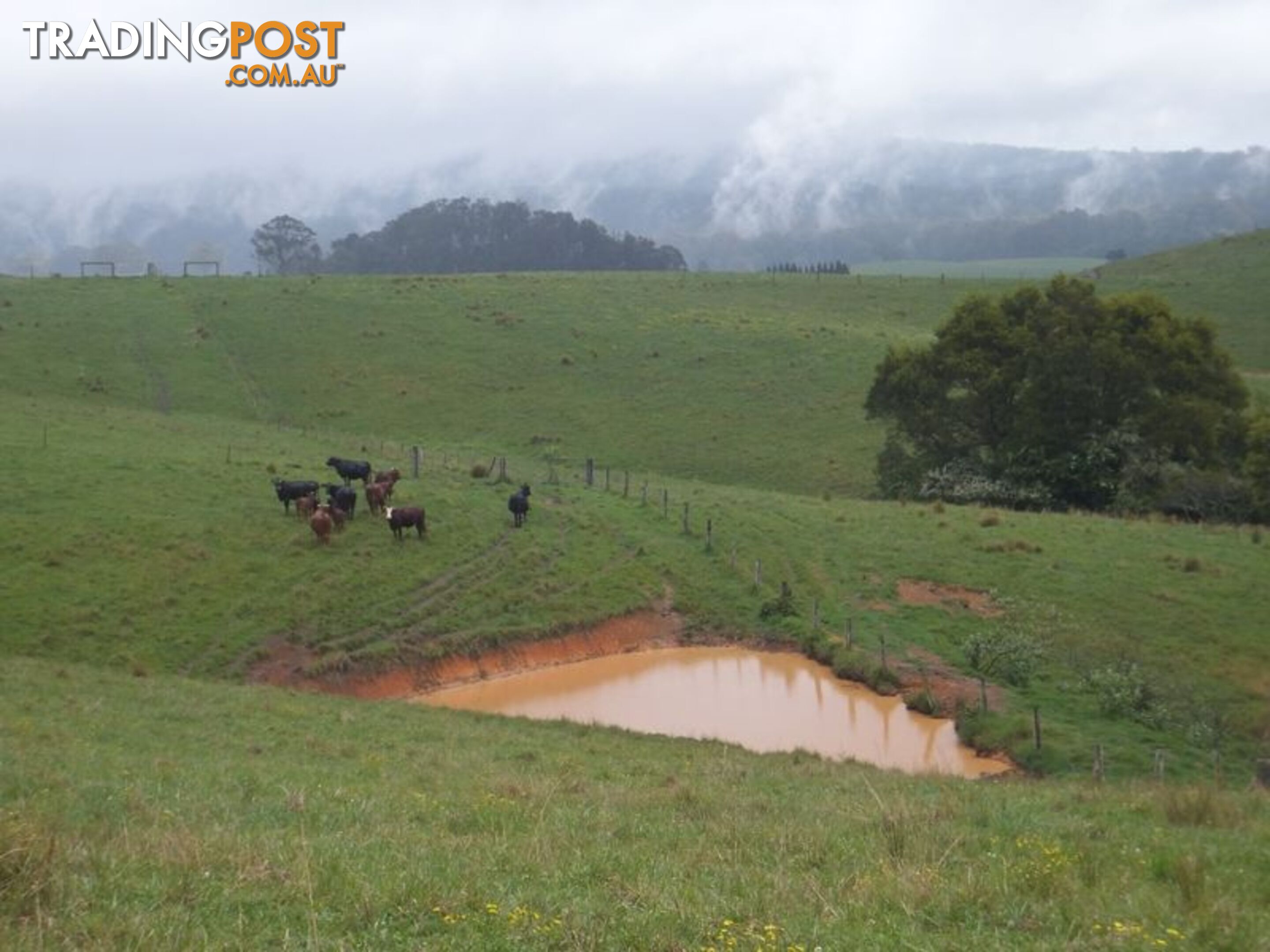 200 Camp Creek Road LOWANNA NSW 2450