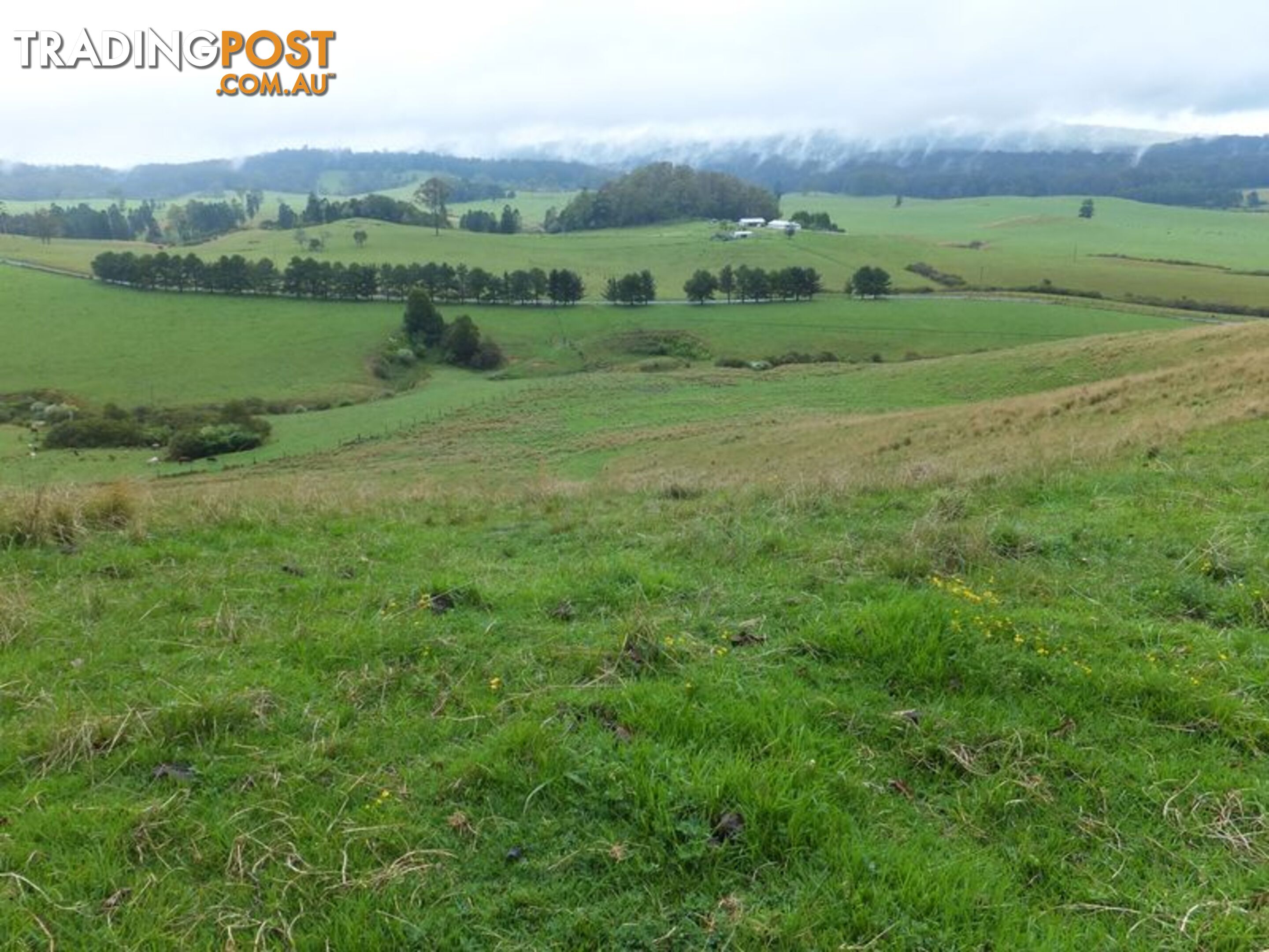 200 Camp Creek Road LOWANNA NSW 2450