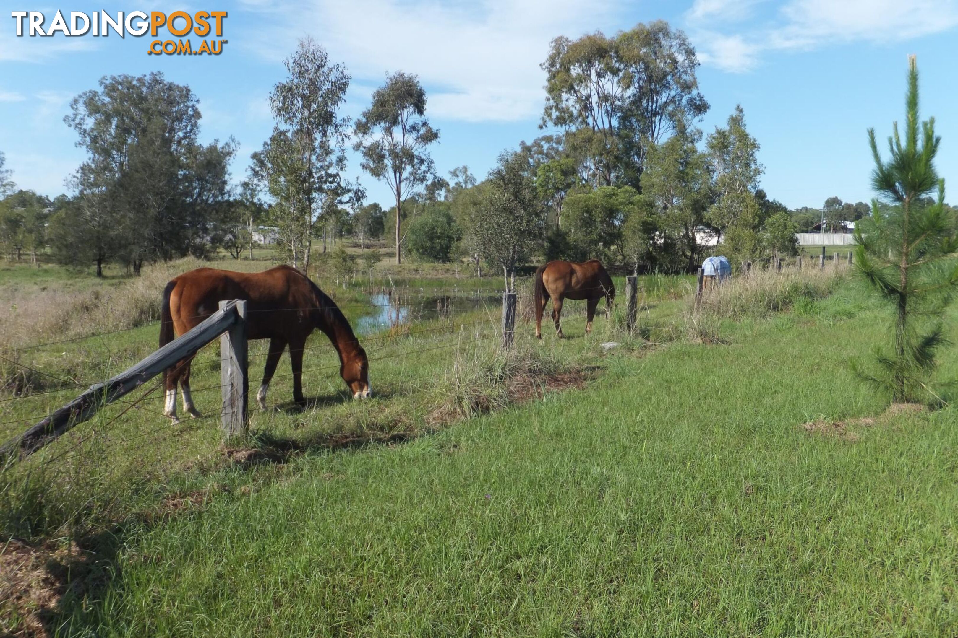 Lot 10/28 Adonus Close TRENAYR NSW 2460