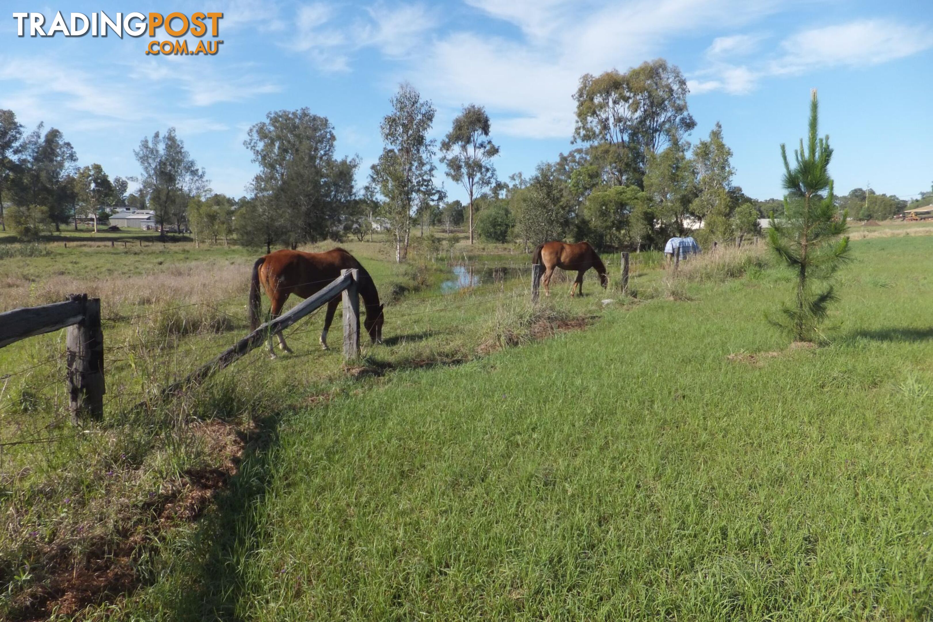 Lot 10/28 Adonus Close TRENAYR NSW 2460