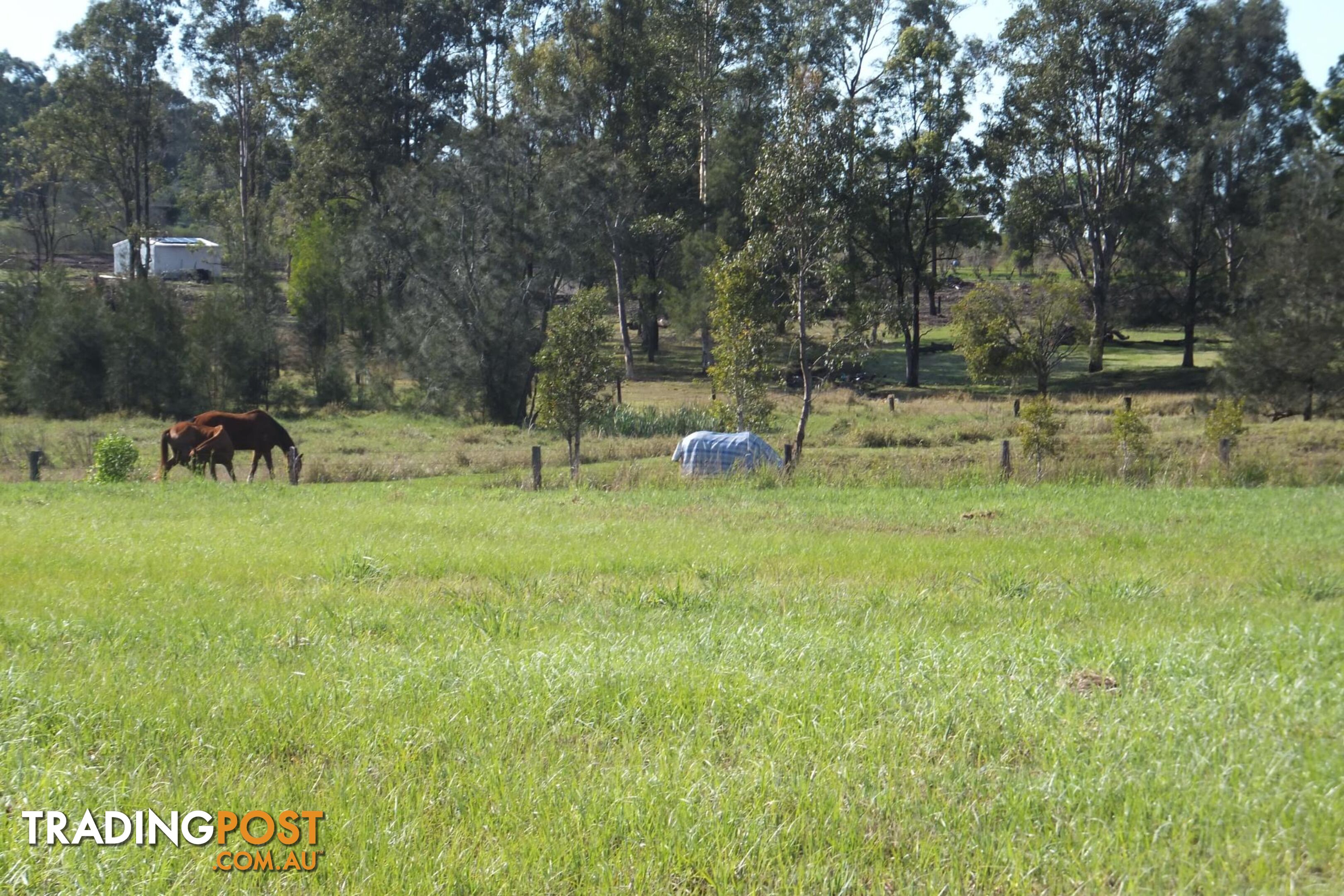 Lot 10/28 Adonus Close TRENAYR NSW 2460