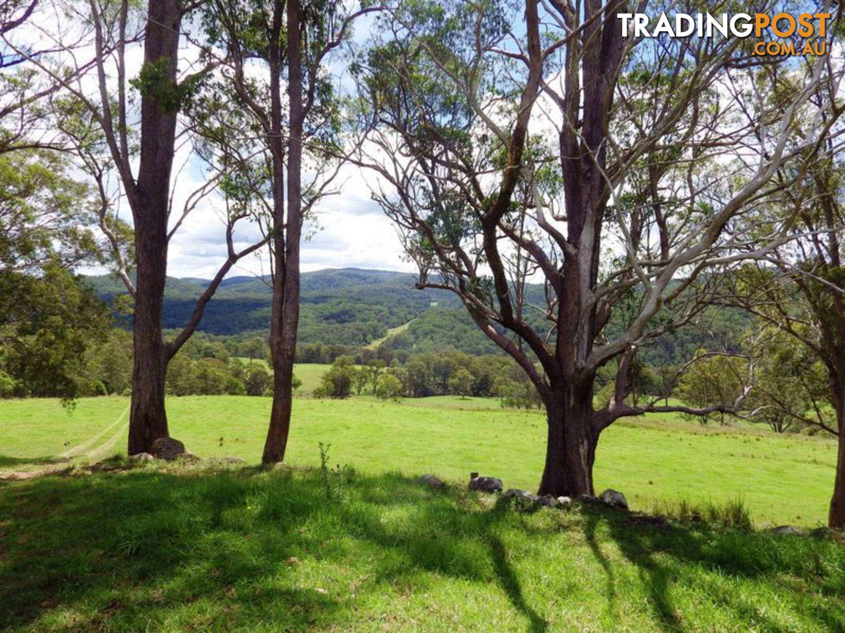 116 Mollydale Road TYRINGHAM NSW 2453