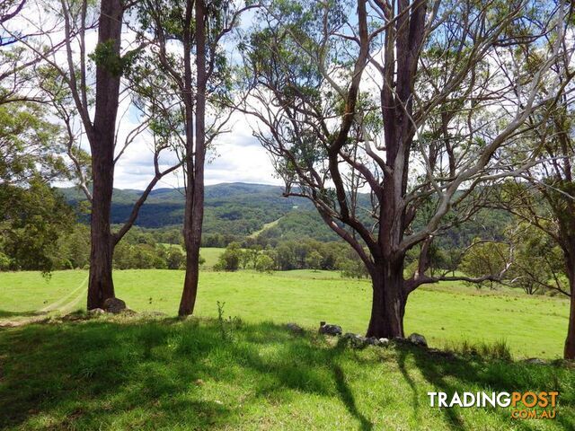 116 Mollydale Road TYRINGHAM NSW 2453